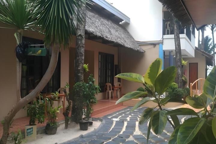 Photo 8