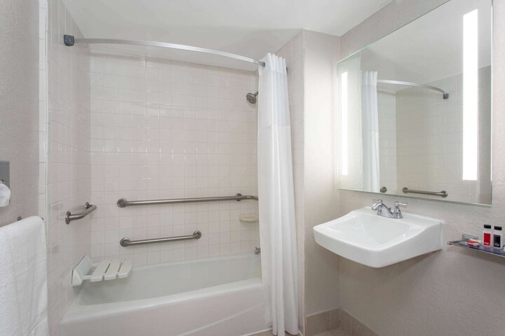 1 King Bed Accessible (8 of 10)