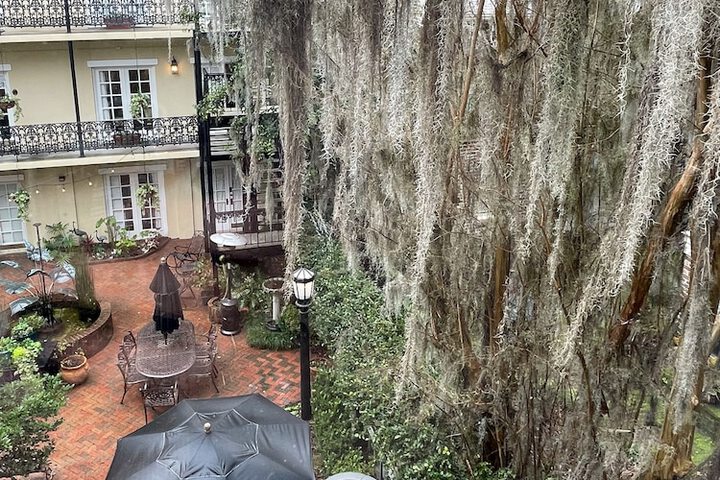 Hotel Exterior 162 of 166
