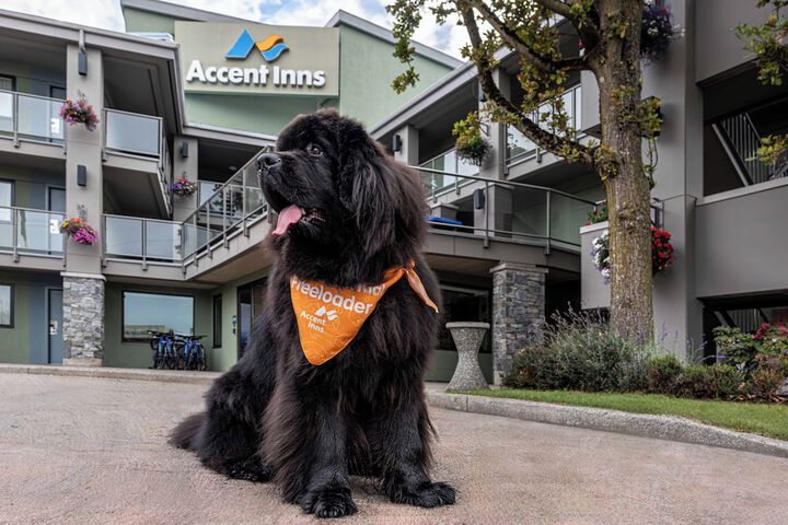 Pet Friendly 61 of 84