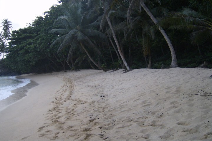 Beach 33 of 55