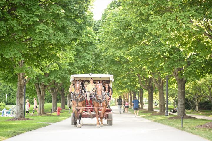 City shuttle