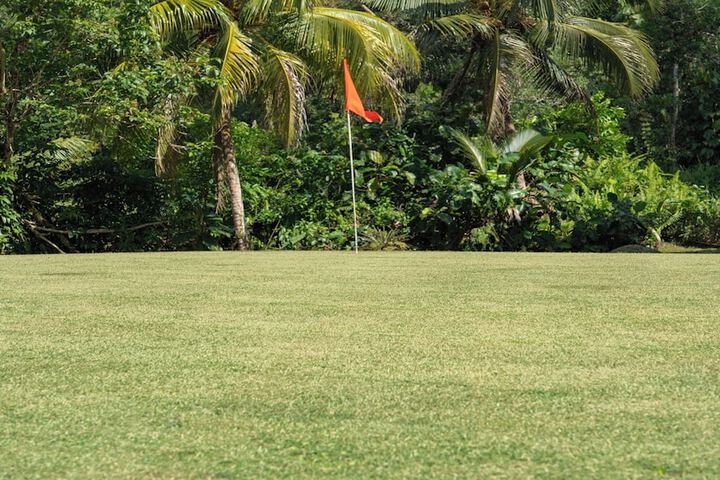 Golf 48 of 86