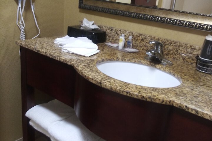 1 King Bed Suite (5 of 9)