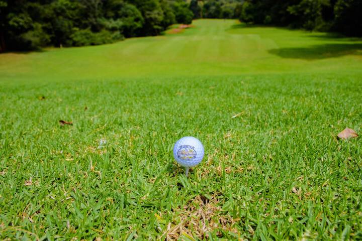 Golf 39 of 98
