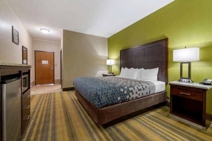 1 King Bed (3 of 16)
