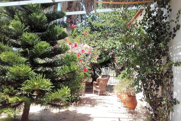Terrace/Patio 38 of 42