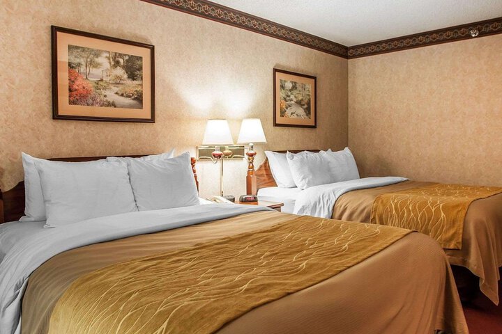 1 Queen Bed (3 of 6)