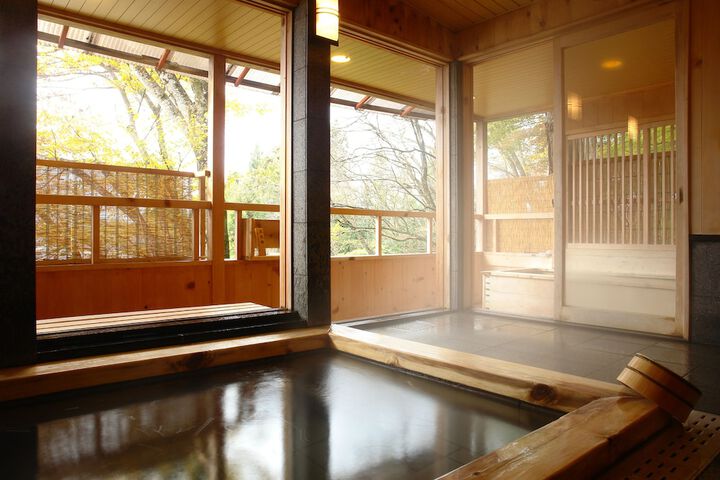 Wellness Treatments