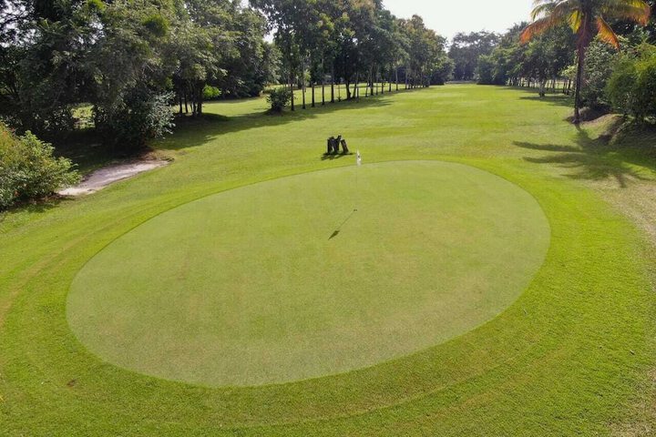 Golf 25 of 40