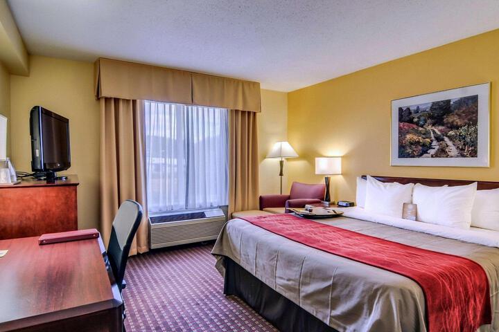 1 King Bed (6 of 20)