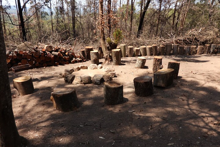 Property Grounds 11 of 14