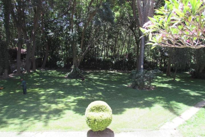 Property Grounds 26 of 35