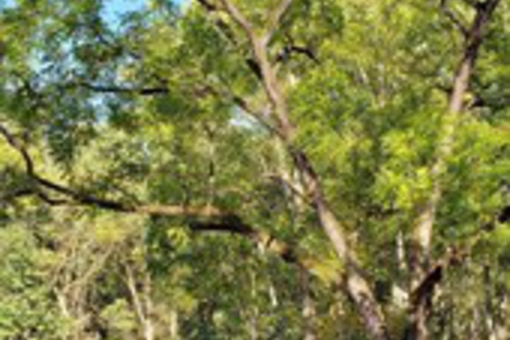 Property Grounds 32 of 37