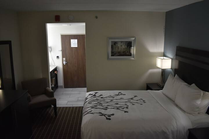 1 King Bed (40 of 40)