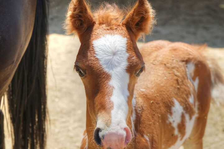 Childrens Activities 34 of 81