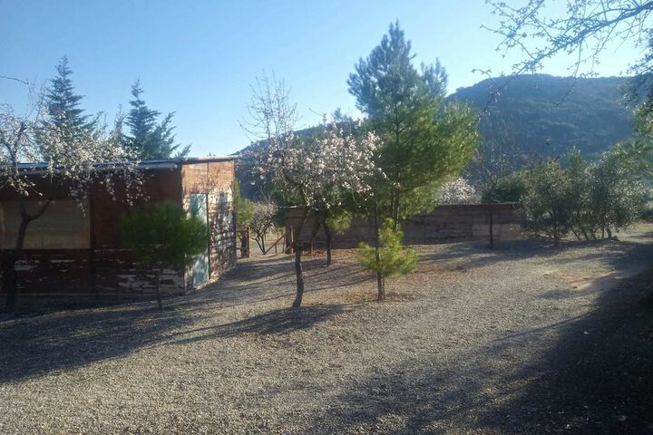 Property Grounds 38 of 52