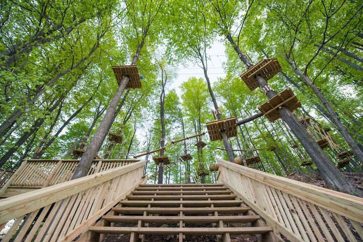 Ropes course (team building)