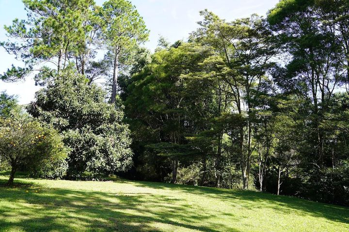Property Grounds 20 of 23