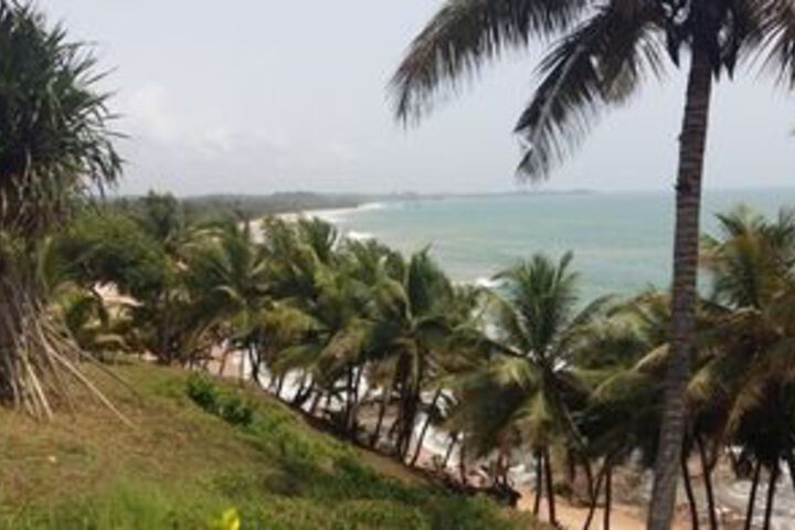 Beach 12 of 58