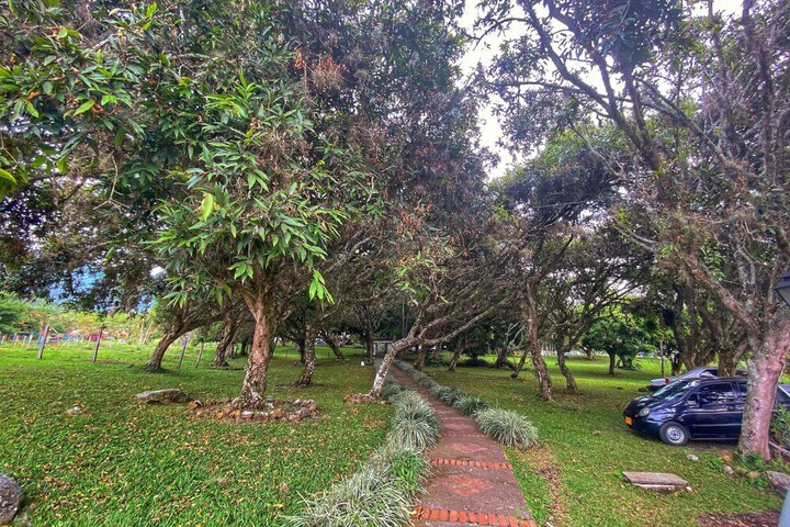 Property Grounds 68 of 89