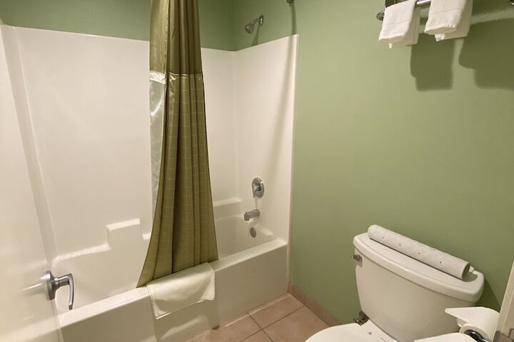 Deluxe King Bed (9 of 10)