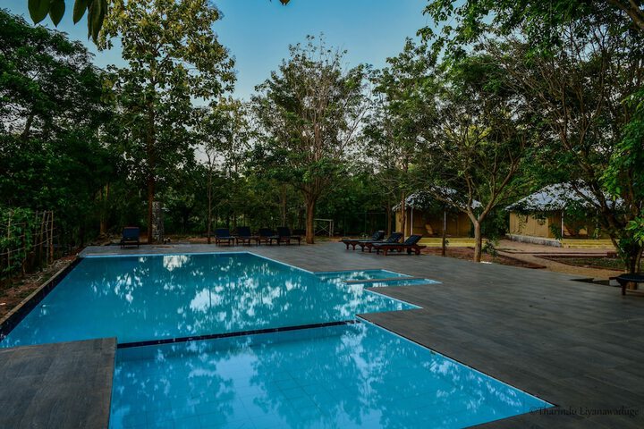 Pool 19 of 42