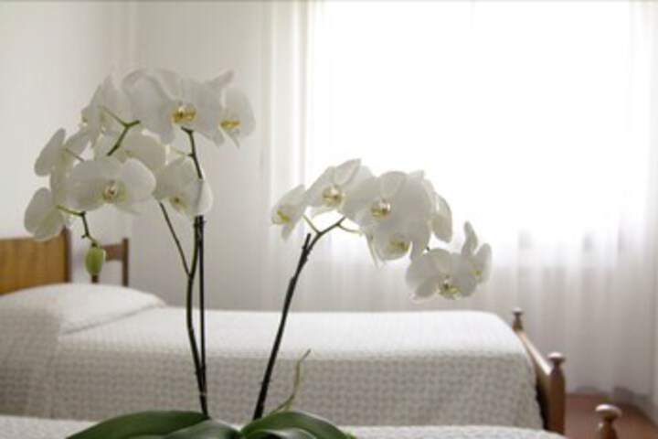 Room 14 of 20