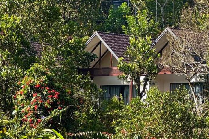 General 26 of 75