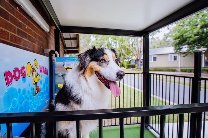 Pet Friendly 24 of 49