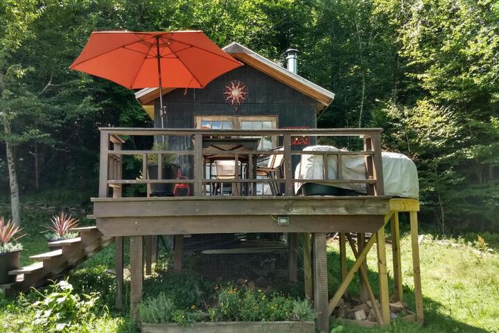 Catskills tiny house cabin