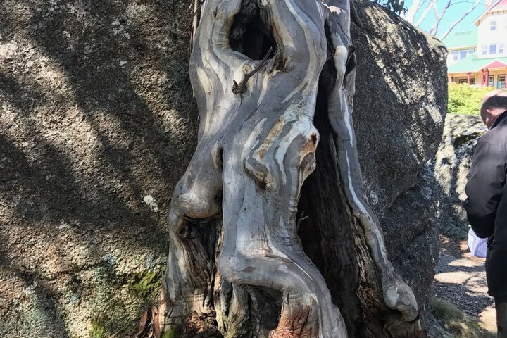 Hotel Exterior 19 of 23