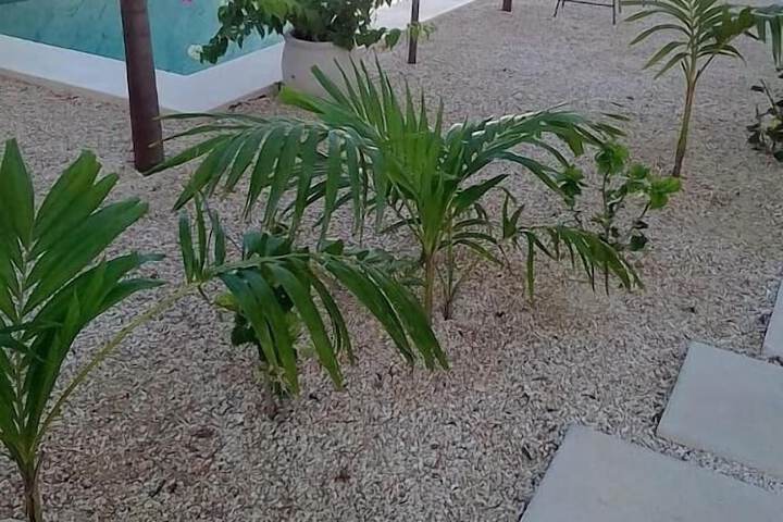 Property Grounds 33 of 47