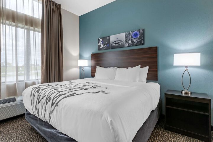 1 King Bed (11 of 13)