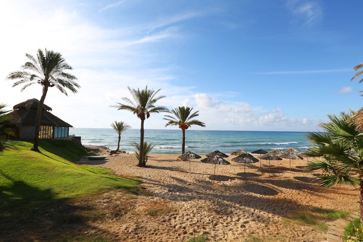 Beach 50 of 50