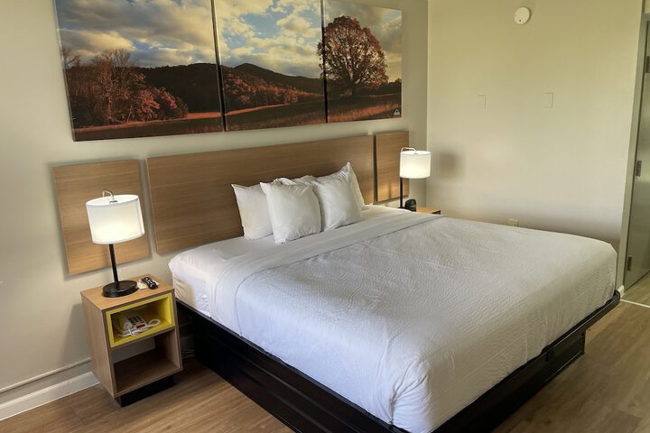 1 King Bed Accessible (21 of 39)