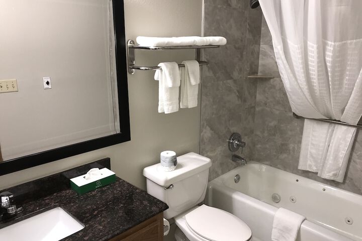 1 King Bed Suite (3 of 7)