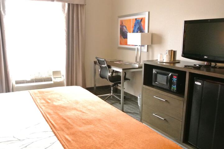 1 King Bed Accessible (11 of 14)