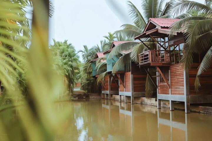 Rabeing view Doona Chiang Mai