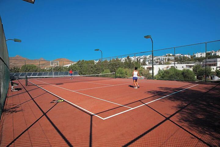 Tennis court
