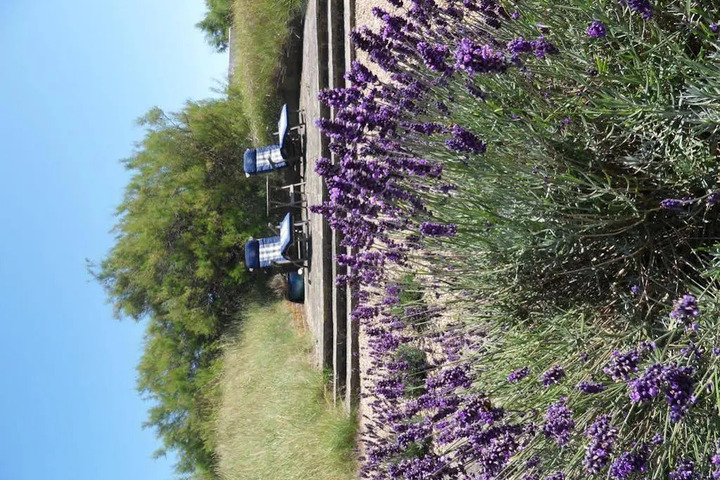General 24 of 29
