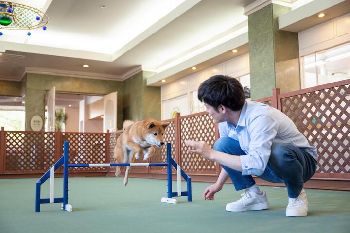 Pet-friendly amenities