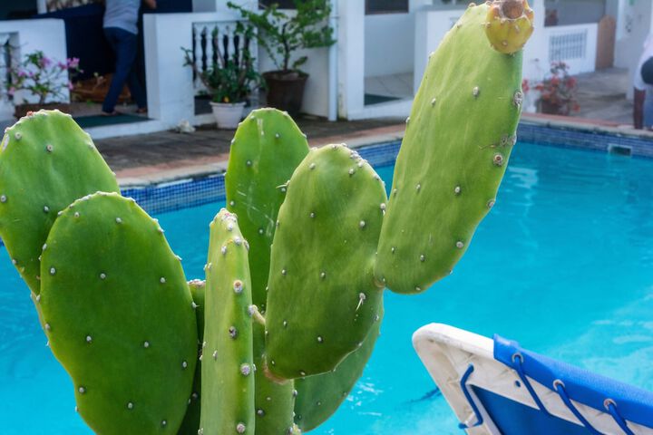 Pool 119 of 157