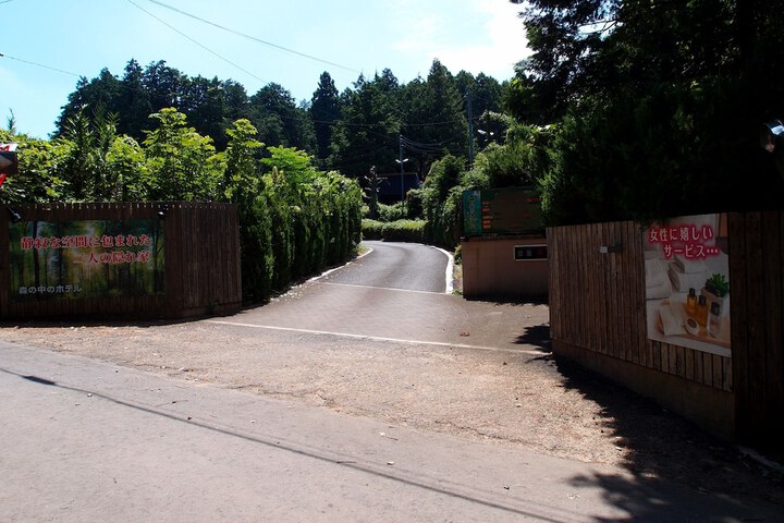 hotel in the forest