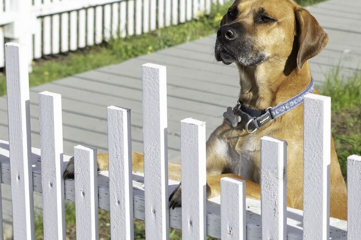 Hotel Exterior 84 of 84