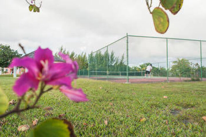 Tennis and Basketball Courts 23 of 26