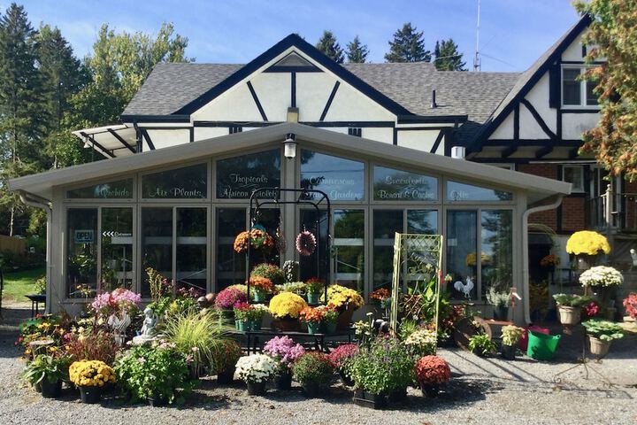 Burleys Gardens and Suite