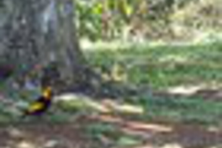 Property Grounds 98 of 174