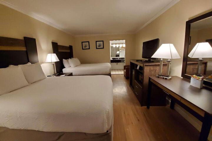 Double Deluxe King Bed (2 of 11)
