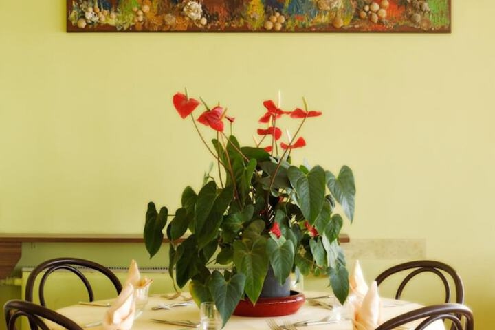 Dining 39 of 57